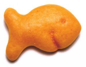 goldfish-cracker-clipart-616730_goldfish_cracker1